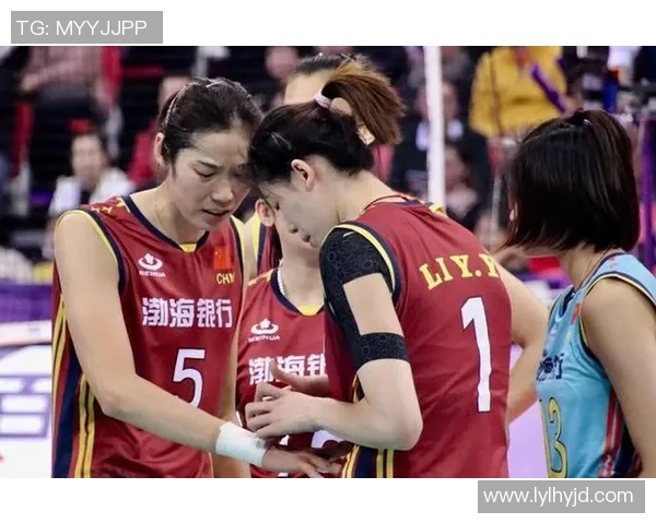 北京排球队实力之争引发热议球迷观点各异谁能胜出